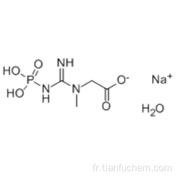 Sel disodique de créatine phosphate CAS 922-32-7